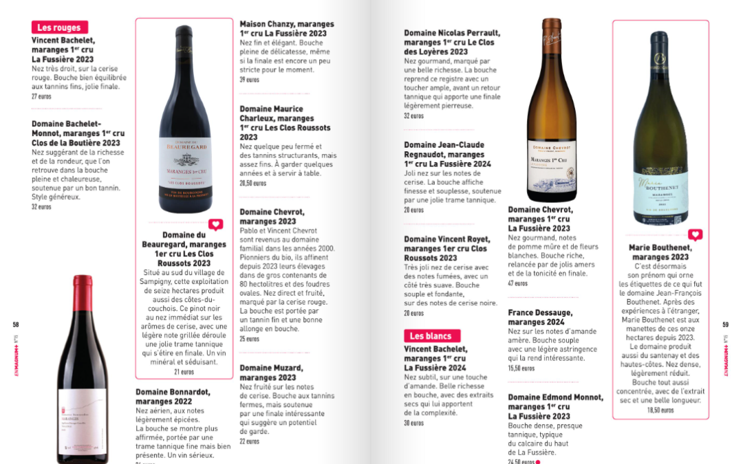 Maranges blanc sur le chêne 2023 coup de coeur bettane et dessauve